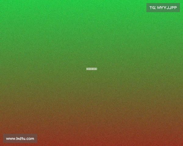 自贸区网络游戏